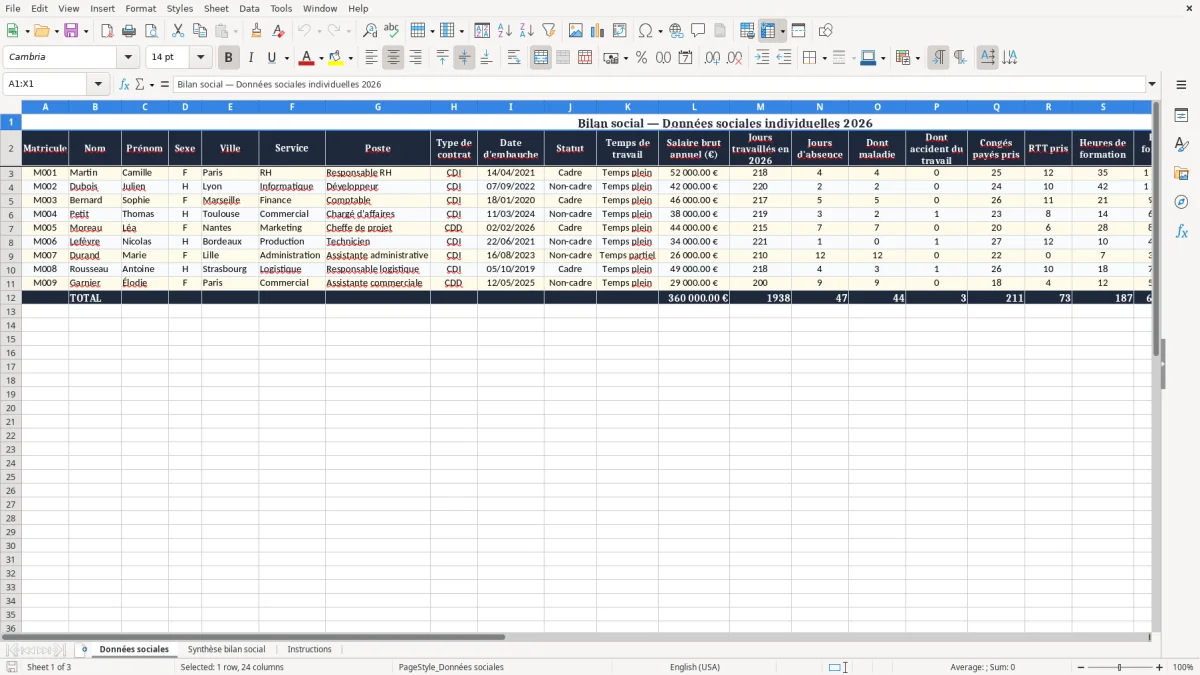 Capture 1 : onglet Données sociales - Modèle Excel bilan social excel modèle