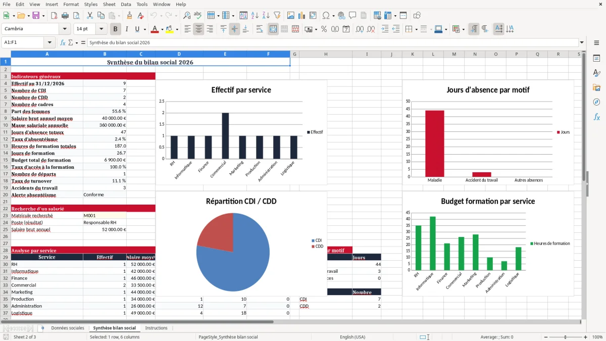 Capture 2 : onglet Synthèse bilan social - Modèle Excel bilan social excel modèle