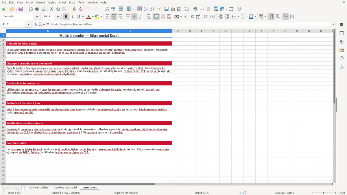 Capture 3 : onglet Instructions - Modèle Excel bilan social excel modèle