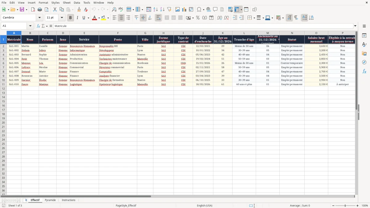 Capture 1 : onglet Effectif - Modèle Excel pyramide des âges excel modèle